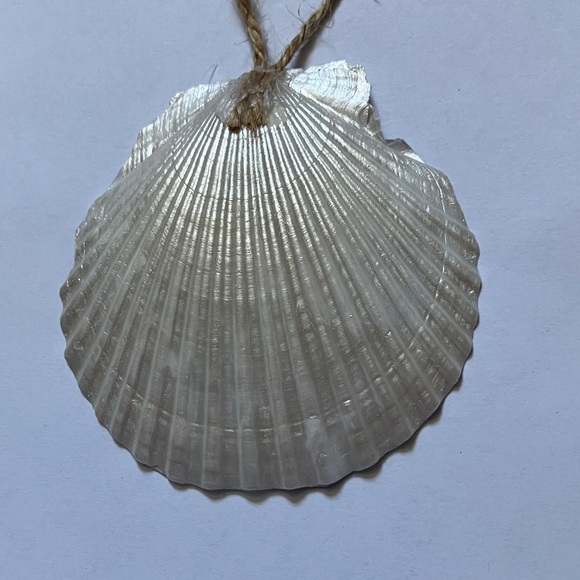 Handcrafted Shell Ornament Golden Rose Pearl Metallic Decoupage - Picture 4 of 4